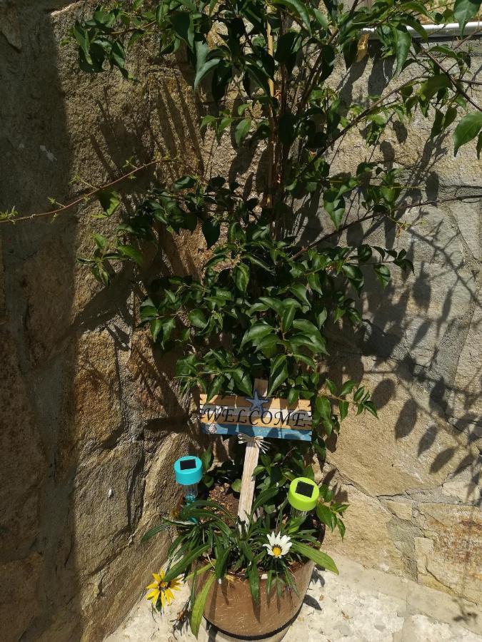 Villa Holly Balchik Luaran gambar